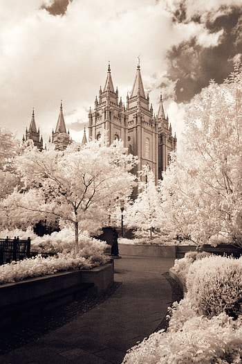Infrared pathway, Temple art, Serene atmosphere, Spiritual sanctuary HD phone wallpaper