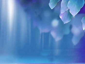 Shimmering Leaves, light beam, leaves, shadowed HD wallpaper