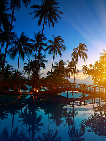 Thailand Travels, Thailand hotel, Ocean beach vacation HD phone wallpaper