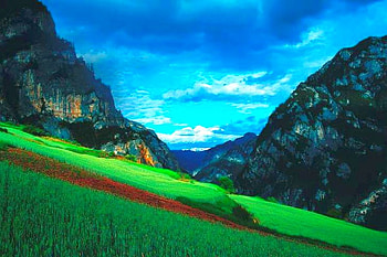 Green and Blue, view, beautiful, nature HD wallpaper
