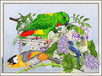 BIRD COLLAGE, ART, COLLAGE, ABSTRACT, BIRD HD wallpaper