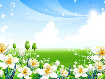 Plants, Flowers HD wallpaper
