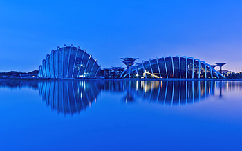Cities, Lights, Reflection, Backlight, Illumination, Evening, Megapolis, Megalopolis, Bay, Singapore, Malaysia, Gardens By The Bay HD wallpaper