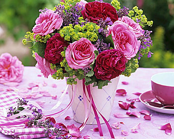Beautiful Flowers, flowers, bloom, roses, petals HD wallpaper