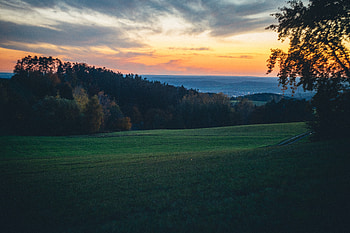 Landscape, Nature, Trees, Twilight, Field, Dusk, Hills HD wallpaper