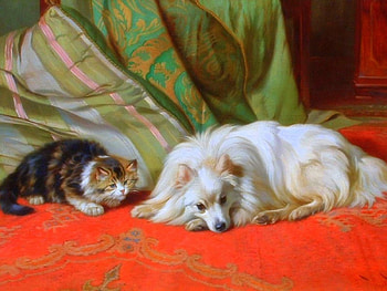 Live Together, love four seasons, animals, dogs, cats, draw and paint, paintings, dogs and cats HD wallpaper