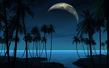 Landscape, Sea, Night, Palms HD wallpaper