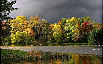 Landscape, Rivers, Trees, Autumn HD wallpaper