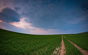 Nature, Road, Field, Panorama, Country, Countryside, Crops HD wallpaper