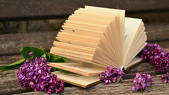 Book collection, Antique novels, Bookshelf display, Classic literature HD wallpaper