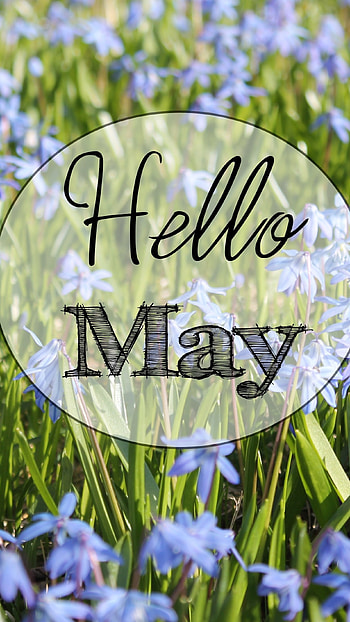May, Hello May HD phone wallpaper
