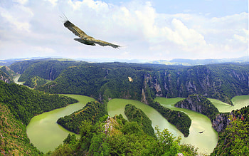 THE KING OF AIR IS FLYING, 3d, , cool, , nature, amazing, nice HD wallpaper