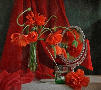 still life in red, beautiful, life, still, red HD wallpaper