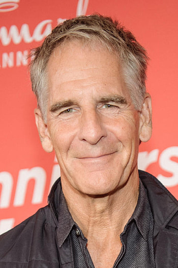 Scott Bakula, TV shows, Starportrt news bilder HD phone wallpaper