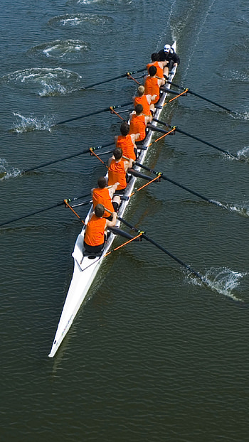 Rowing , , , Rowing background HD phone wallpaper
