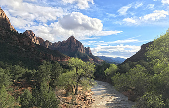 Zion National Park, fun, cool, nature, forest, mountain HD wallpaper