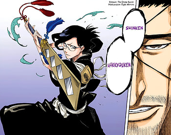 Bleach : Shunsui & Nanao Unleash Shunken Hakkyoiken Power, Shunsui Kyōraku, Nanao Ise, Anime, Bleach: Thousand-Year Blood War HD wallpaper