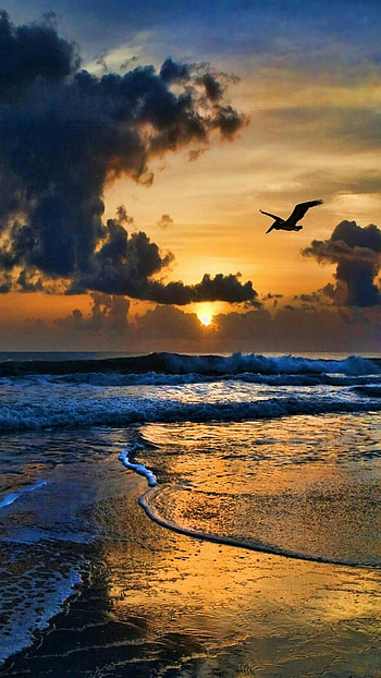 Beautiful For, Sun View HD phone wallpaper