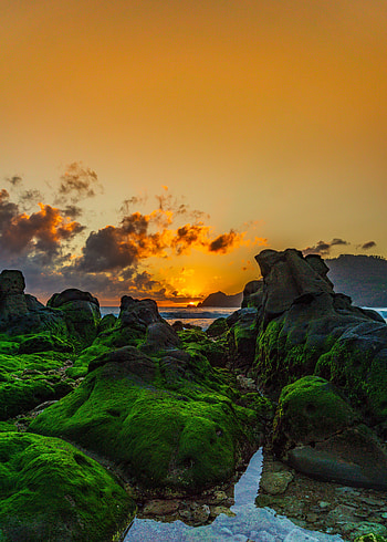 Sunset, coast, beautiful rocks, moss HD phone wallpaper