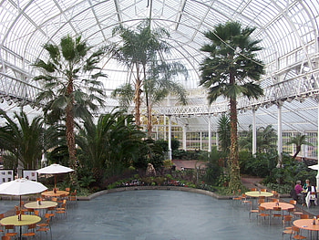 Winter Gardens , glasgow, winter gardens, peoples palace HD wallpaper