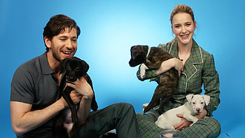 Michael Zegen, Puppy playtime, Fan questions, Movie stars HD wallpaper