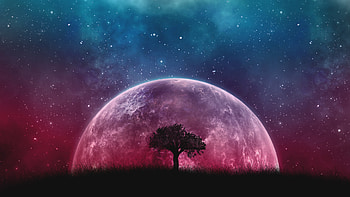 Stars, Vector, Art, Wood, Tree, Galaxy, Planet HD wallpaper