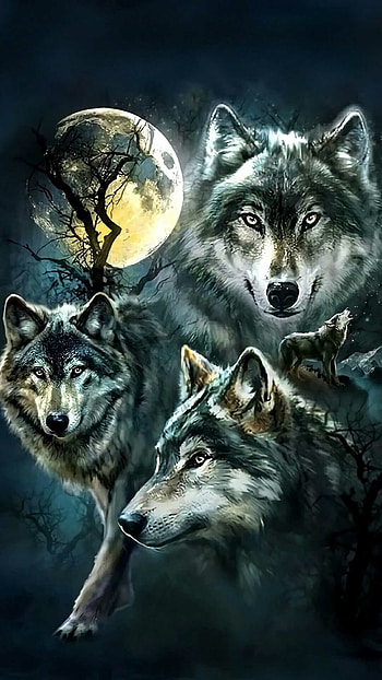 Wolf , Sleek and modern, Minimalist style, Streamlined look HD phone wallpaper