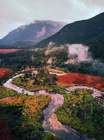 Nature, Rivers, Trees, Mountains, Forest, Winding, Sinuous HD phone wallpaper