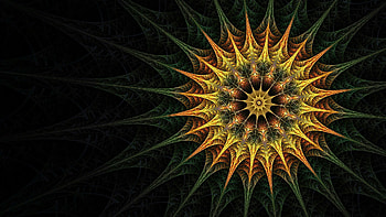 Fractal art , Symmetrical patterns, Macro graphy, Artistic backgrounds HD wallpaper