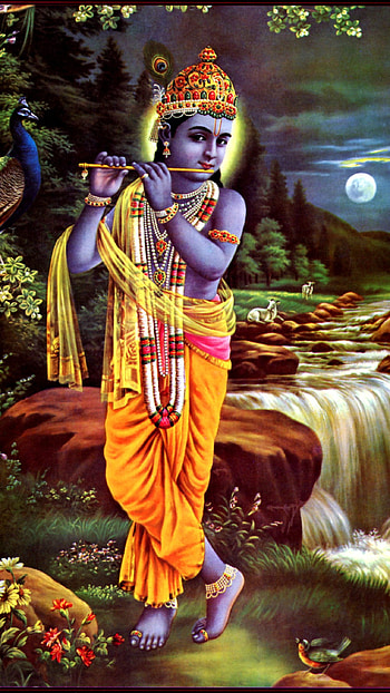 Krishna, Murlidhar, Kanha HD phone wallpaper
