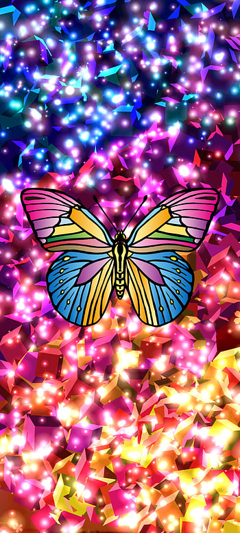 Butterfly, organism, nature HD phone wallpaper