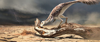 Prehistoric Planet : Mononykus chasing termites, Animal, dinosaur HD wallpaper