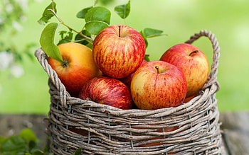 Autumn, Seasonal, Vibrant, Harvest HD wallpaper