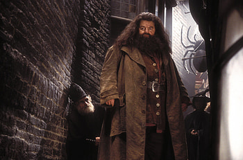 Hagrid, Keeper of keys, Gamekeeper's hut, Gentle soul HD wallpaper