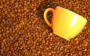Food, Coffee, Cup, Grains, Grain HD wallpaper