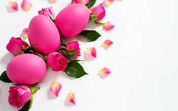 Happy Easter!, rose, egg, pink, pasti, petals, flower, card, easter HD wallpaper