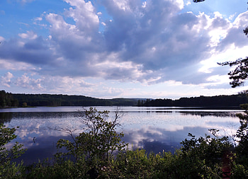 Sky of Clouds, Reflections, graphy, Trees, Lake, Nature, Clouds, Sky HD wallpaper