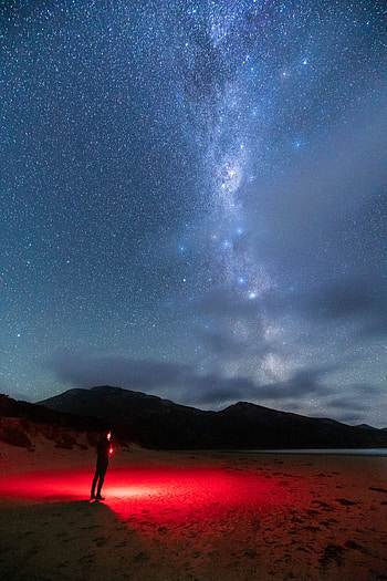 Nature, Night, Beach, Shine, Light, Silhouette, Starry Sky HD phone wallpaper