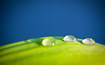 Water Drop HD wallpaper