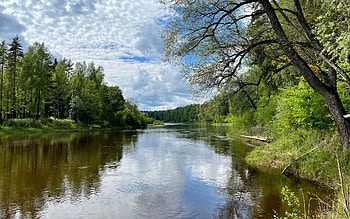 River Gauja in Latvia, river, Latvia, nature, reflection HD wallpaper