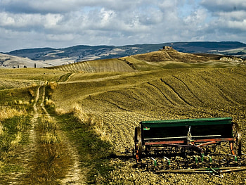 Landscape, Fields HD wallpaper