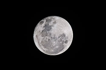 Detailed full moon captured against a black sky, showcasing lunar textures. HD wallpaper