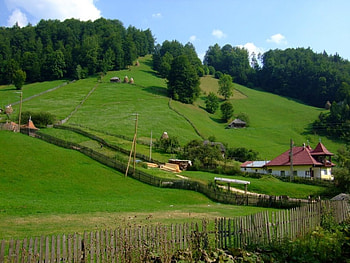 Romania, la, brasov, munte, magura HD wallpaper