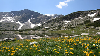 Spring at foot of Mt Mussala, Bulgaria, landscape, dandelions, mountains, blossoms, sky HD wallpaper