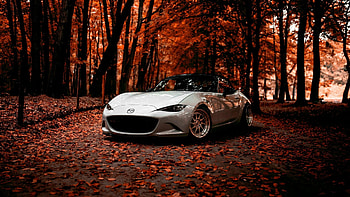 Mazda off-road, Autumn sports car, , Stunning background HD wallpaper