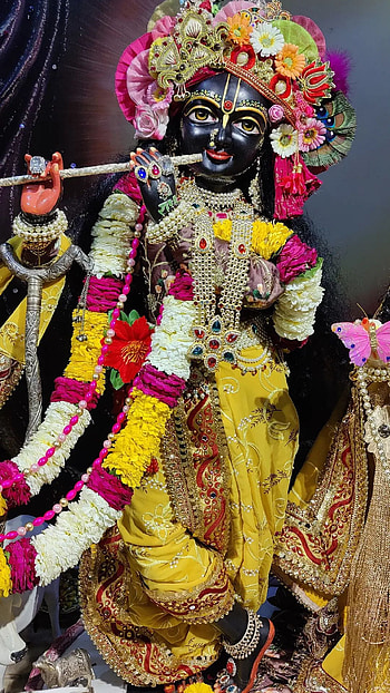 Hare krishna, magenta, art HD phone wallpaper