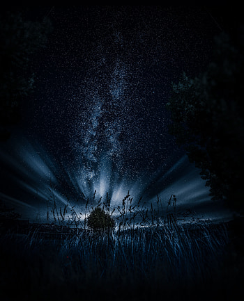 Grass, Night, Dark, Wood, Tree, Starry Sky HD phone wallpaper