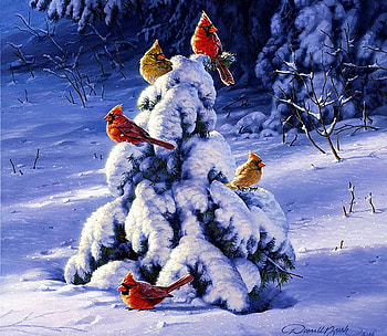 Winter's Gift, birds, painting, snow, tree, cardinals HD wallpaper