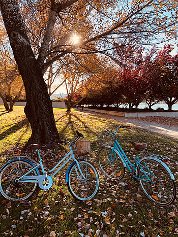 Bicycles, Miscellanea, Miscellaneous, Stroll, Autumn Park HD phone wallpaper