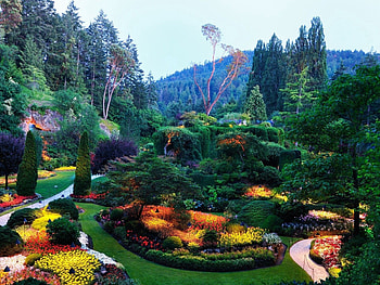 Nature, Flowers, Vegetation, Garden, Variety, Diversity HD wallpaper